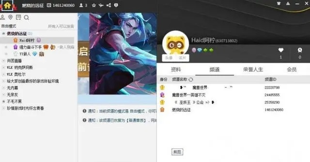 魔兽世界YY频道产业链暴露 职业黑G团队如何作案？