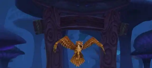 魔兽世界.jpg